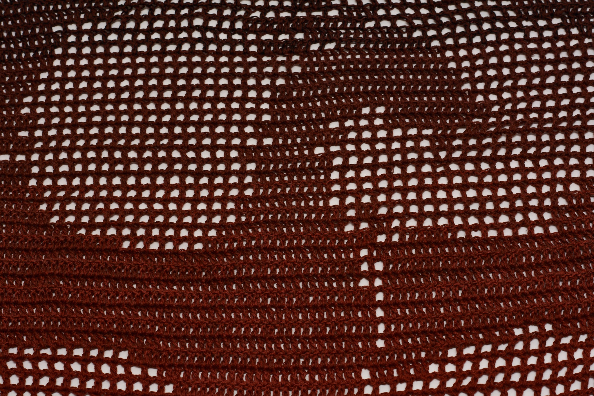 Dragon Filet Shawl