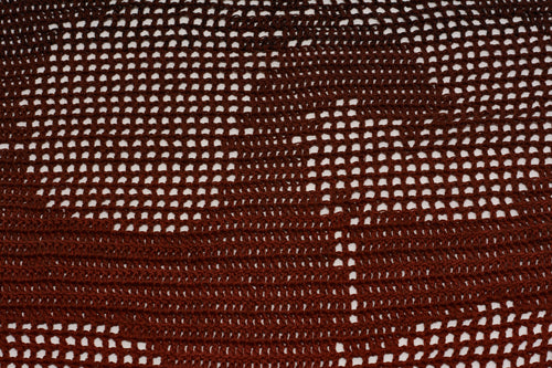 Dragon Filet Shawl