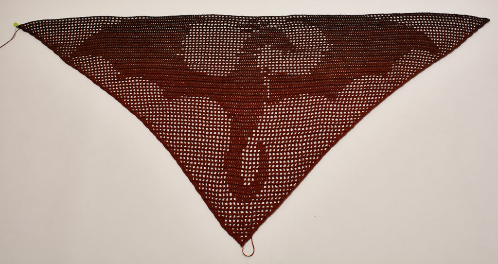 Dragon Filet Shawl